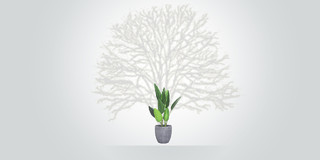 灰色底色极简风树剪影绿植盆栽元素植树节展板背景